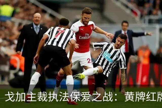 戈加主裁执法保爱之战：黄牌红牌数据揭示潜在争议