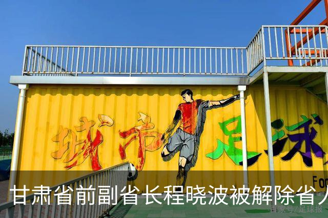 甘肃省前副省长程晓波被解除省人大代表职务，深陷违法调查